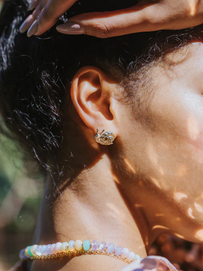 Snail Stud Earrings